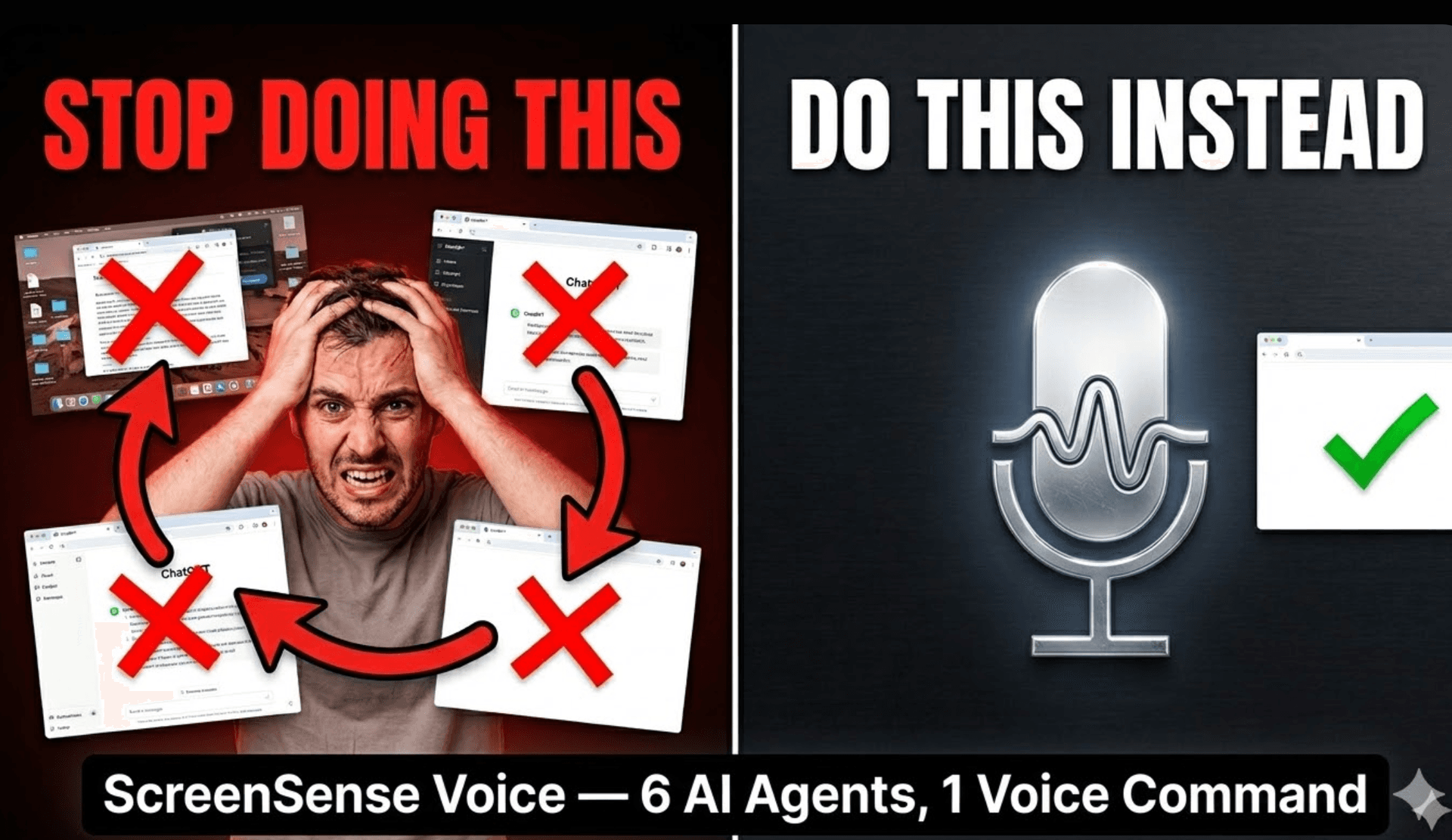 Agent 11's project
